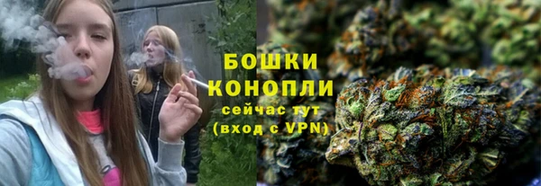 героин Каменка